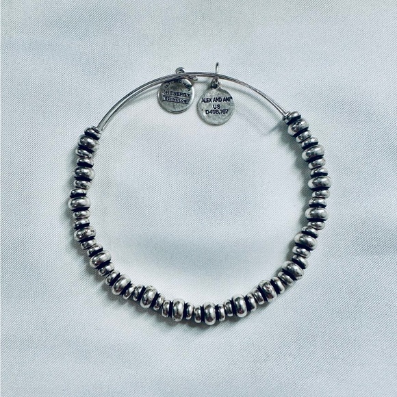 Alex and Ani Power of Positivity Nile Beaded Rafaelian Silver Charm Bracelet - Picture 2 of 6